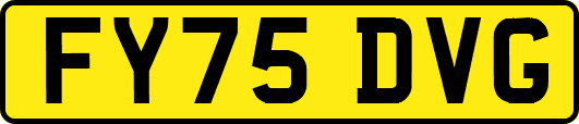 FY75DVG