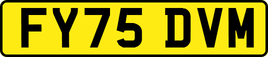 FY75DVM
