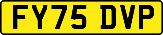 FY75DVP
