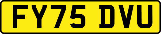 FY75DVU