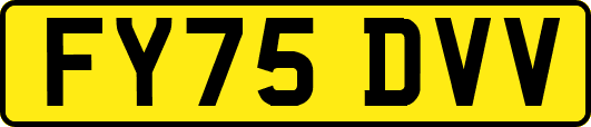 FY75DVV