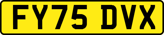 FY75DVX