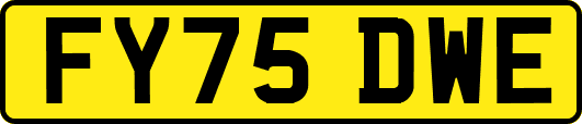 FY75DWE