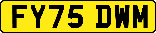 FY75DWM