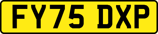 FY75DXP