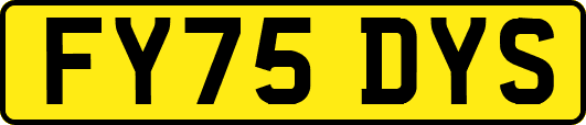 FY75DYS