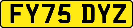 FY75DYZ