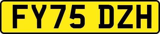 FY75DZH