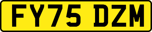FY75DZM