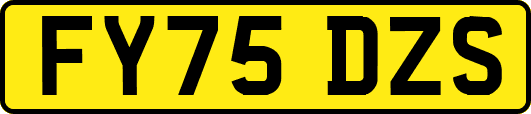 FY75DZS