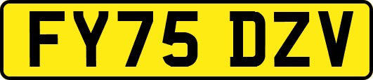 FY75DZV