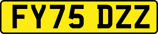 FY75DZZ