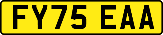 FY75EAA