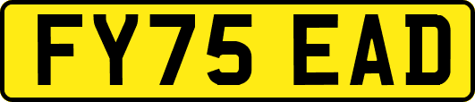 FY75EAD