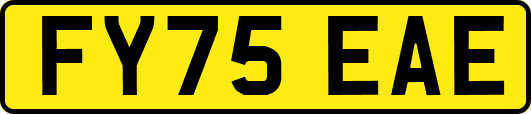 FY75EAE
