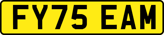 FY75EAM