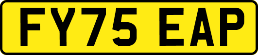 FY75EAP