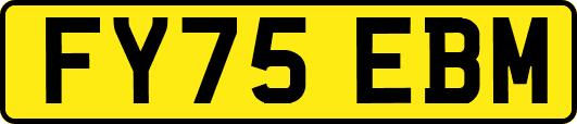 FY75EBM