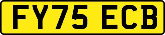 FY75ECB