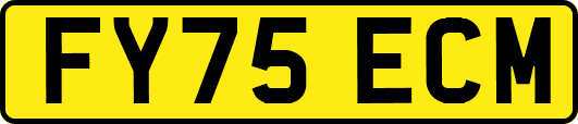 FY75ECM