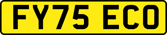 FY75ECO