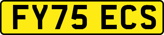 FY75ECS