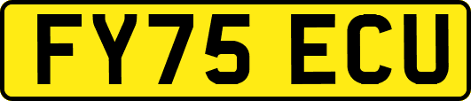 FY75ECU