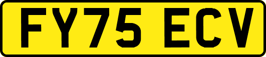 FY75ECV