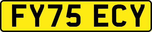 FY75ECY