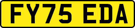 FY75EDA