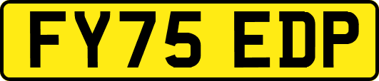 FY75EDP