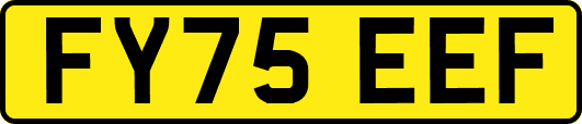 FY75EEF