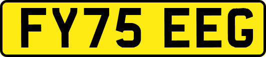 FY75EEG