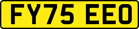 FY75EEO