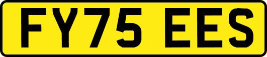 FY75EES