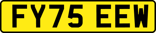 FY75EEW