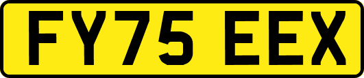 FY75EEX