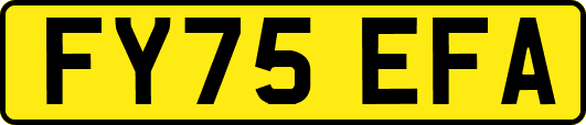 FY75EFA