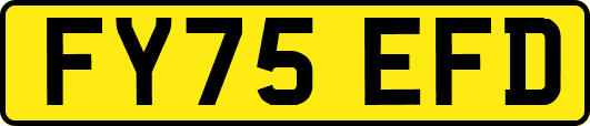 FY75EFD