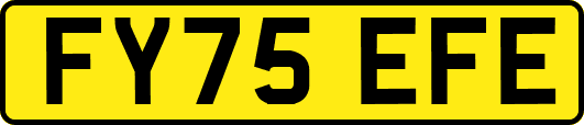 FY75EFE