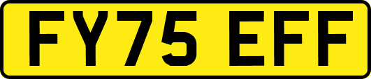 FY75EFF