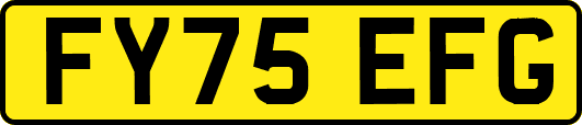 FY75EFG