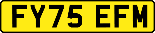 FY75EFM