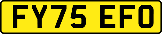 FY75EFO