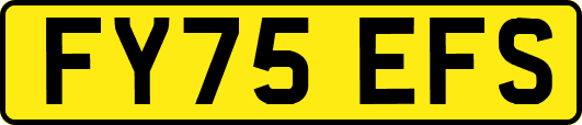 FY75EFS
