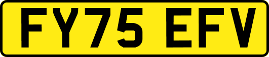 FY75EFV