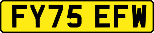 FY75EFW