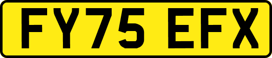 FY75EFX