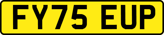 FY75EUP