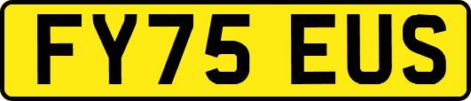 FY75EUS